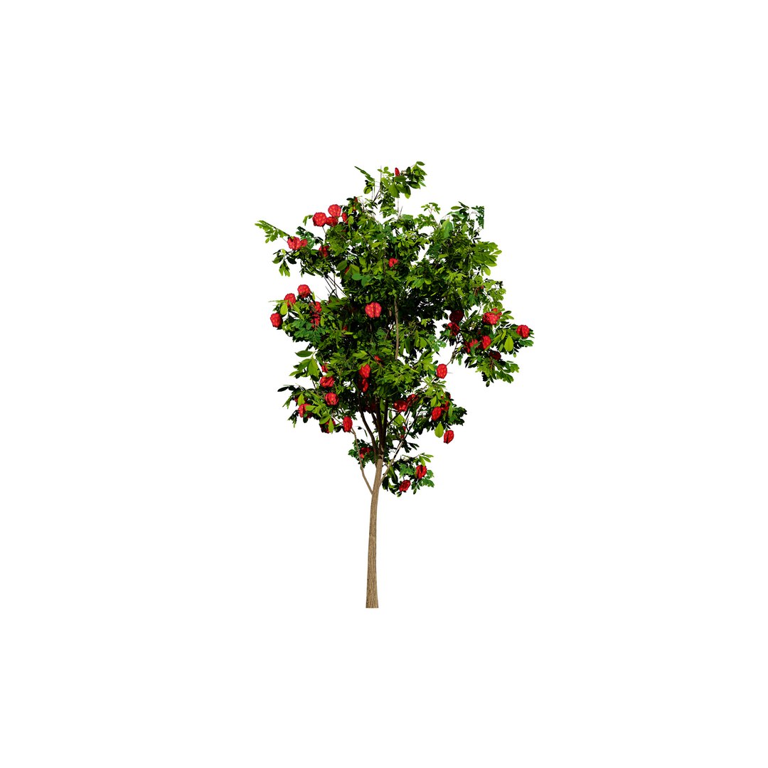 3D Corymbia Ficifolia 3D Model model https://p.turbosquid.com/ts-thumb/9c/B1I2Xd/Ap/302/jpg/1732649520/1920x1080/fit_q87/e4993a3ff46fce41222e70a4fbbd9feb0c14cd83/302.jpg