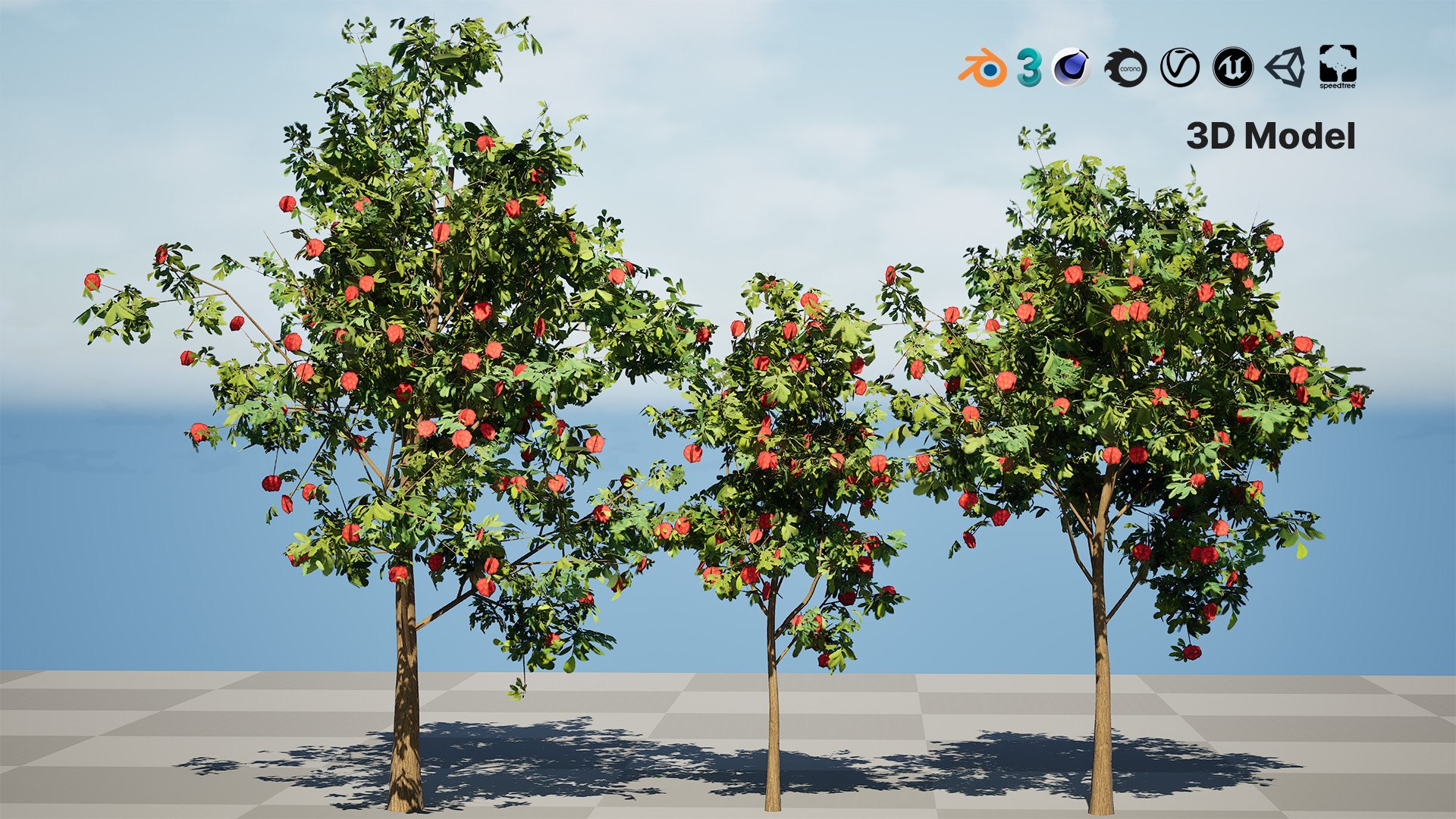 3D Corymbia Ficifolia 3D Model model https://p.turbosquid.com/ts-thumb/9c/B1I2Xd/Kc/00artcover03/jpg/1732649479/1920x1080/fit_q87/0cdb0347acbe9568286697a22261a55020c2012b/00artcover03.jpg