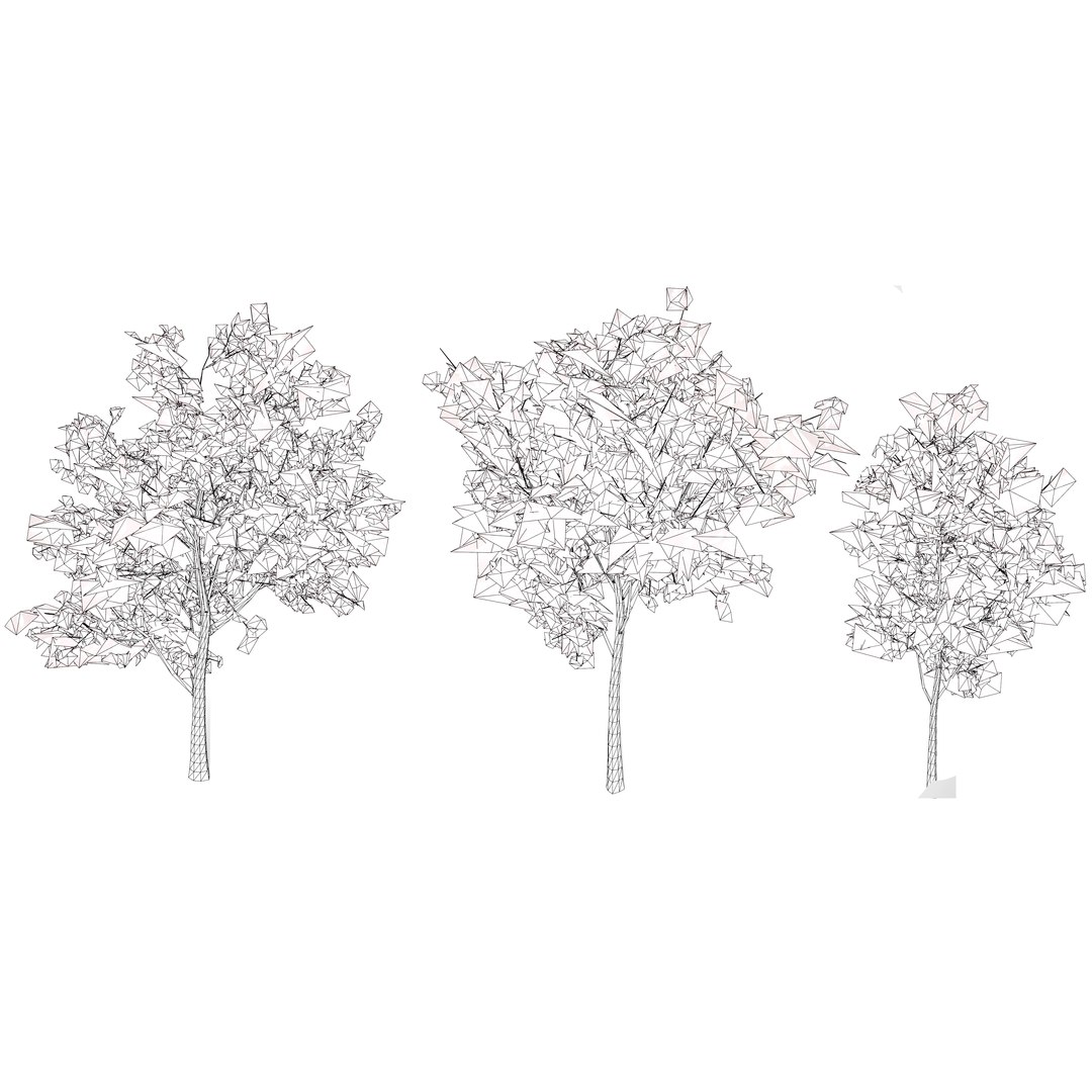 3D Corymbia Ficifolia 3D Model model https://p.turbosquid.com/ts-thumb/9c/B1I2Xd/qo/wire/jpg/1732649563/1920x1080/fit_q87/8b165ae930428881ead883a2c281954165b25947/wire.jpg