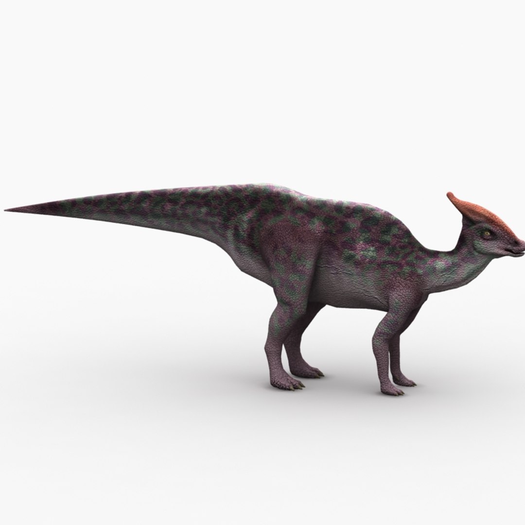 Saurolophus Dinosaur Animation Max