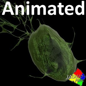algea sperm