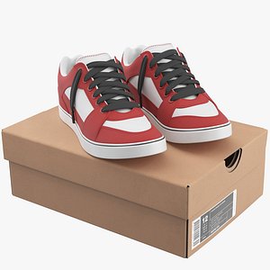 Shoe Box With Sneakers