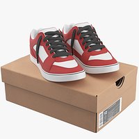 Shoe Box With Sneakers