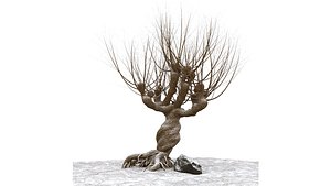 Willow tree model