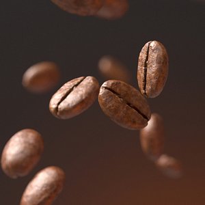 Coffee Bean 3D model