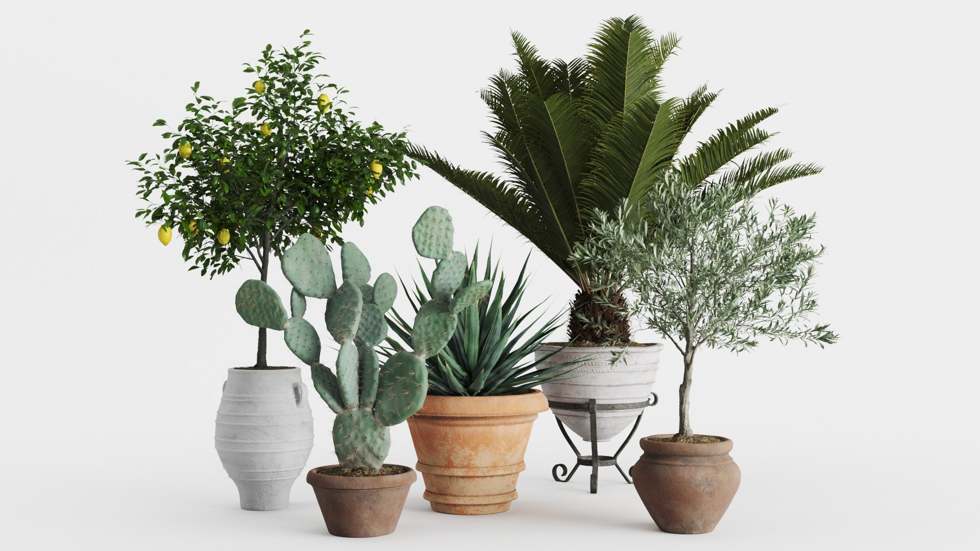 Set Mediterranean Plants In Antique Pots Model - TurboSquid 2033140