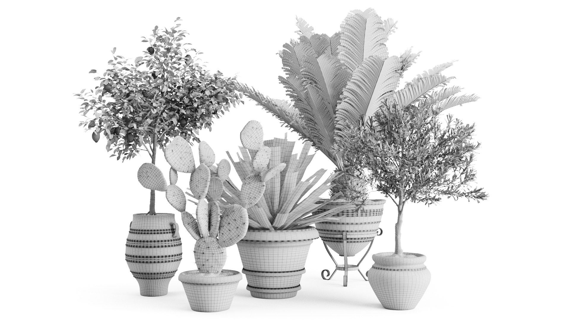 Set Mediterranean Plants In Antique Pots Model - TurboSquid 2033140