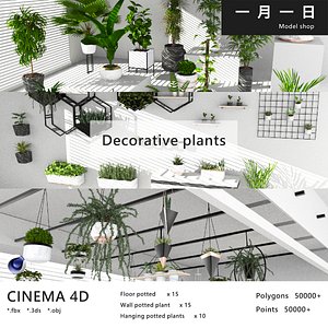 Decorative plant compilation  3D