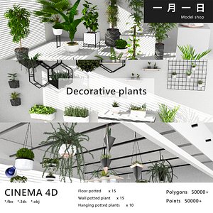 Decorative plant compilation