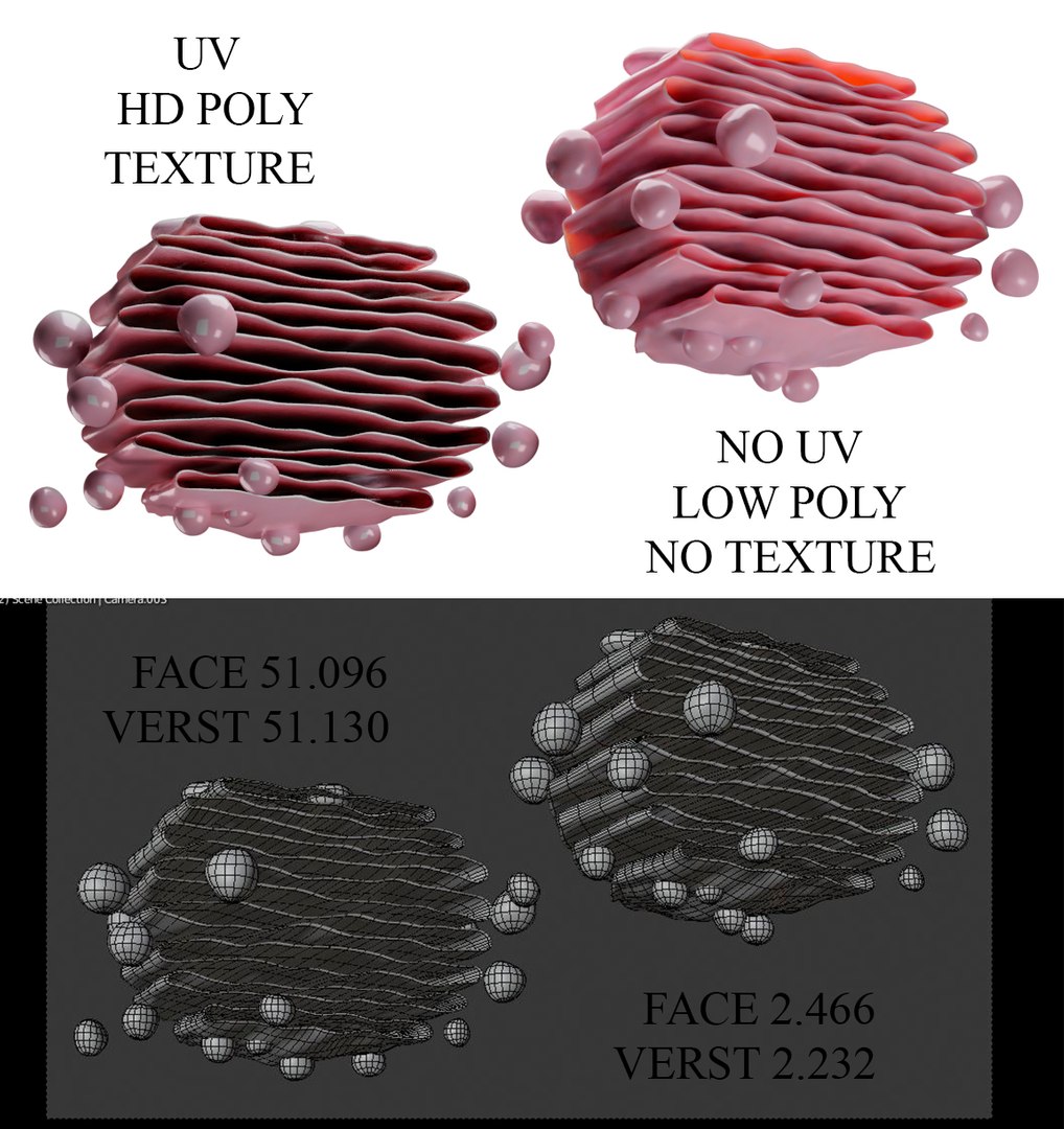 cell biology model https://p.turbosquid.com/ts-thumb/9d/5NmBJw/rr5Q4LuF/comparative/jpg/1571565675/1920x1080/fit_q87/2e128a4fcf4fbbbbc7047e0d798a5218d0c18fbd/comparative.jpg