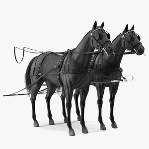 3D model Pair of Black Breast Collar Harness