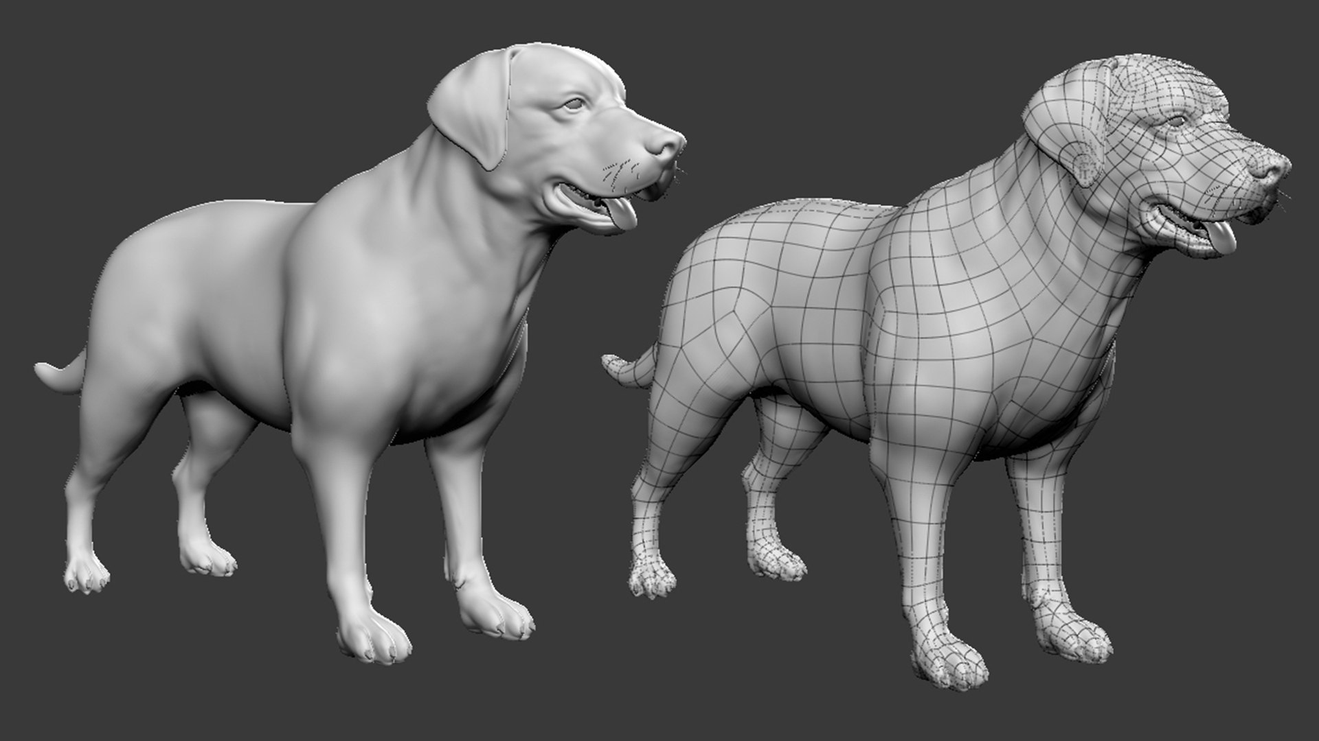 3D Labrador Dog 2 - TurboSquid 2096617
