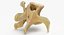 Kangaroo Red Necked Wallaby Lumber Vertebrae L5