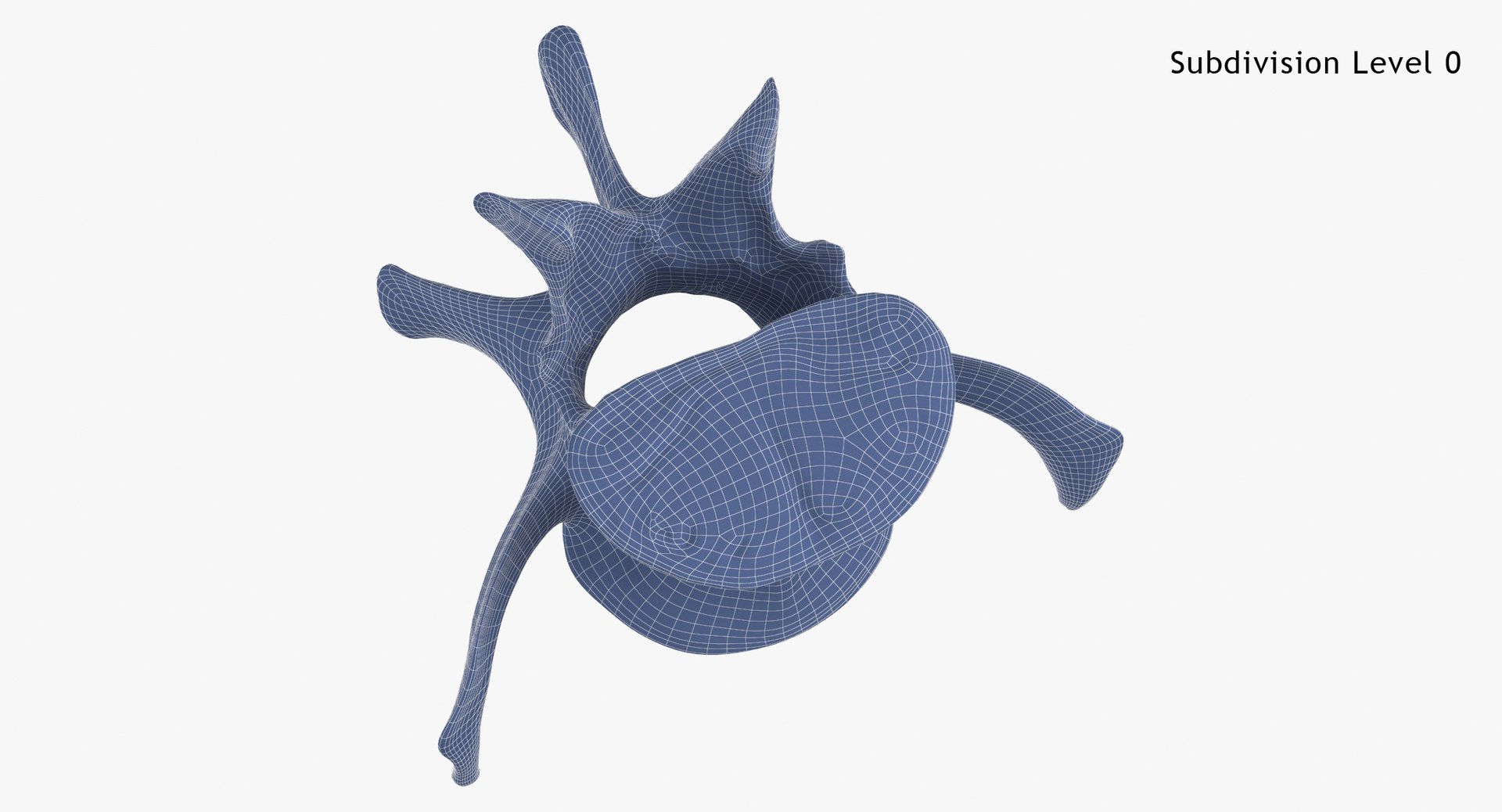 3D Kangaroo Red Necked Wallaby Lumber Vertebrae L5 https://p.turbosquid.com/ts-thumb/9d/M4Iqso/5z/kangaroo_red_necked_wallaby_lumber_vertebrae_l5_subdiv0_0001/jpg/1692878406/1920x1080/fit_q87/11f09782dfb88bd15e94e2b78ca8414918bc0eb3/kangaroo_red_necked_wallaby_lumber_vertebrae_l5_subdiv0_0001.jpg