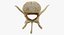 Kangaroo Red Necked Wallaby Lumber Vertebrae L5