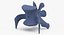 Kangaroo Red Necked Wallaby Lumber Vertebrae L5