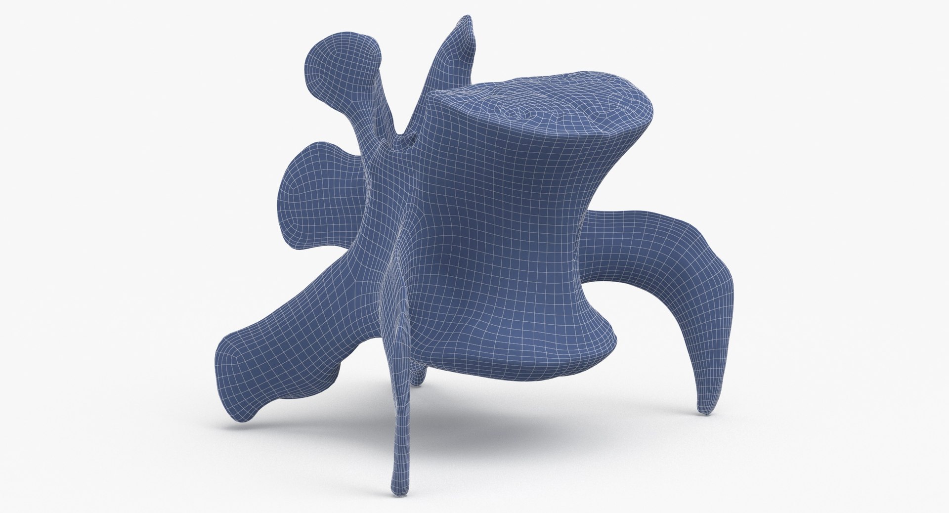 3D Kangaroo Red Necked Wallaby Lumber Vertebrae L5 https://p.turbosquid.com/ts-thumb/9d/M4Iqso/rK/kangaroo_red_necked_wallaby_lumber_vertebrae_l5_wireframe_0003/jpg/1692878396/1920x1080/fit_q87/1df826dfbcaf348bf8e8644da7920a9ab1ad9cd4/kangaroo_red_necked_wallaby_lumber_vertebrae_l5_wireframe_0003.jpg