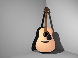 Acoustic Guitar