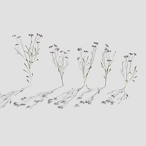 pbr cornflower pack 3D model