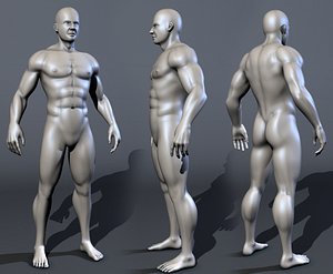 realistic male body 3d max