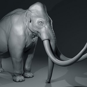 3D mammoth basemesh