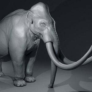 Mammoth basemesh