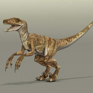 velociraptor dinosaur project 3d x
