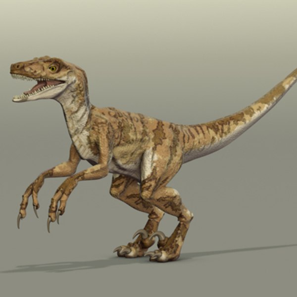 modelo 3d proyecto velociraptor xsi - TurboSquid 433122