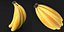 Bunch of bananas