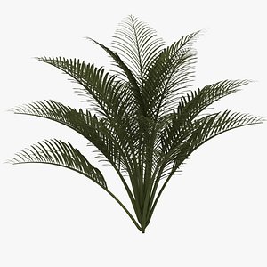 3d max ground palms