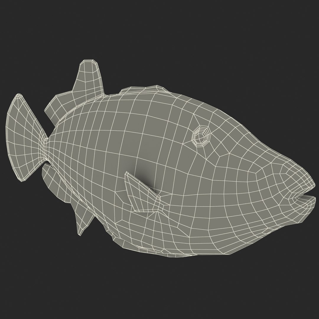 clown trigger fish 3d model