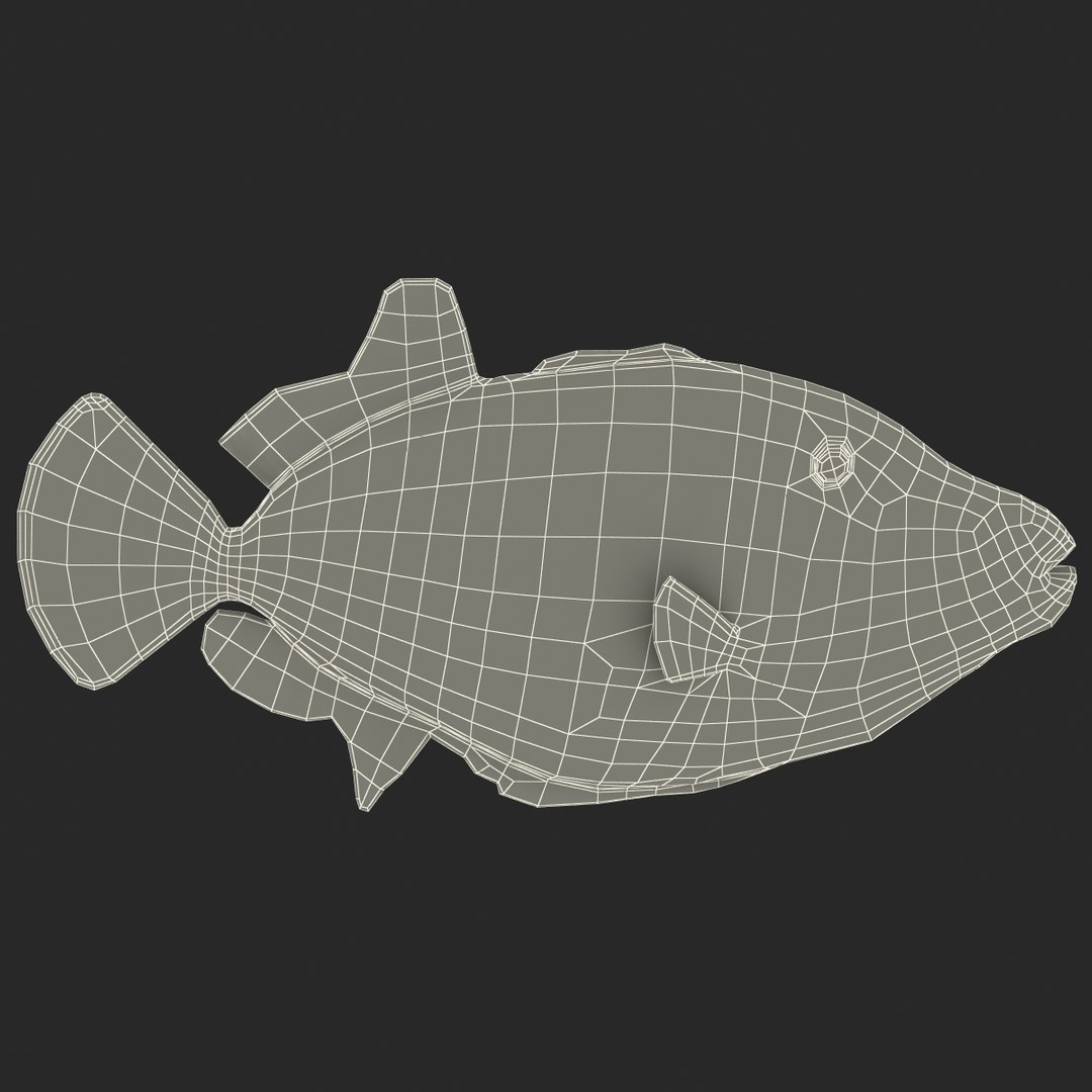 clown trigger fish 3d model