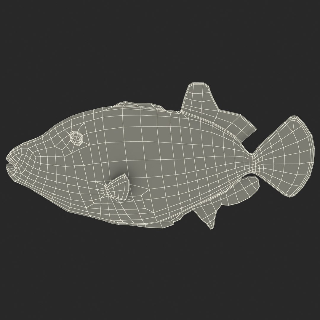 clown trigger fish 3d model
