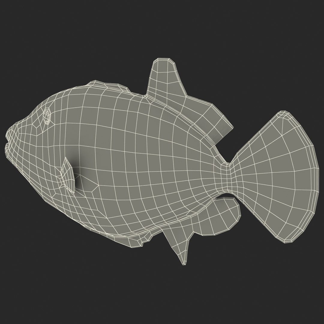clown trigger fish 3d model