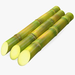 3D Fresh Sugarcane Sticks