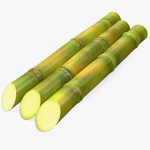 Fresh Sugarcane Sticks