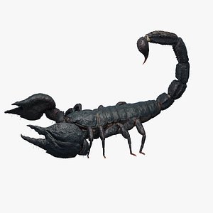 Scorpion Rigged 3D