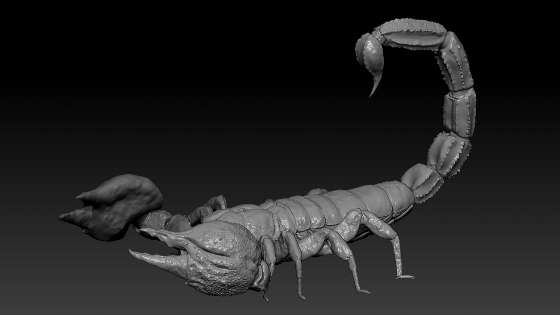 Scorpion Rigged 3D model https://p.turbosquid.com/ts-thumb/9e/K5R6Px/Ub/23/jpg/1751000210/1920x1080/fit_q87/dfa4465460c3e6b29877cf63579ac7360f1c44a3/23.jpg