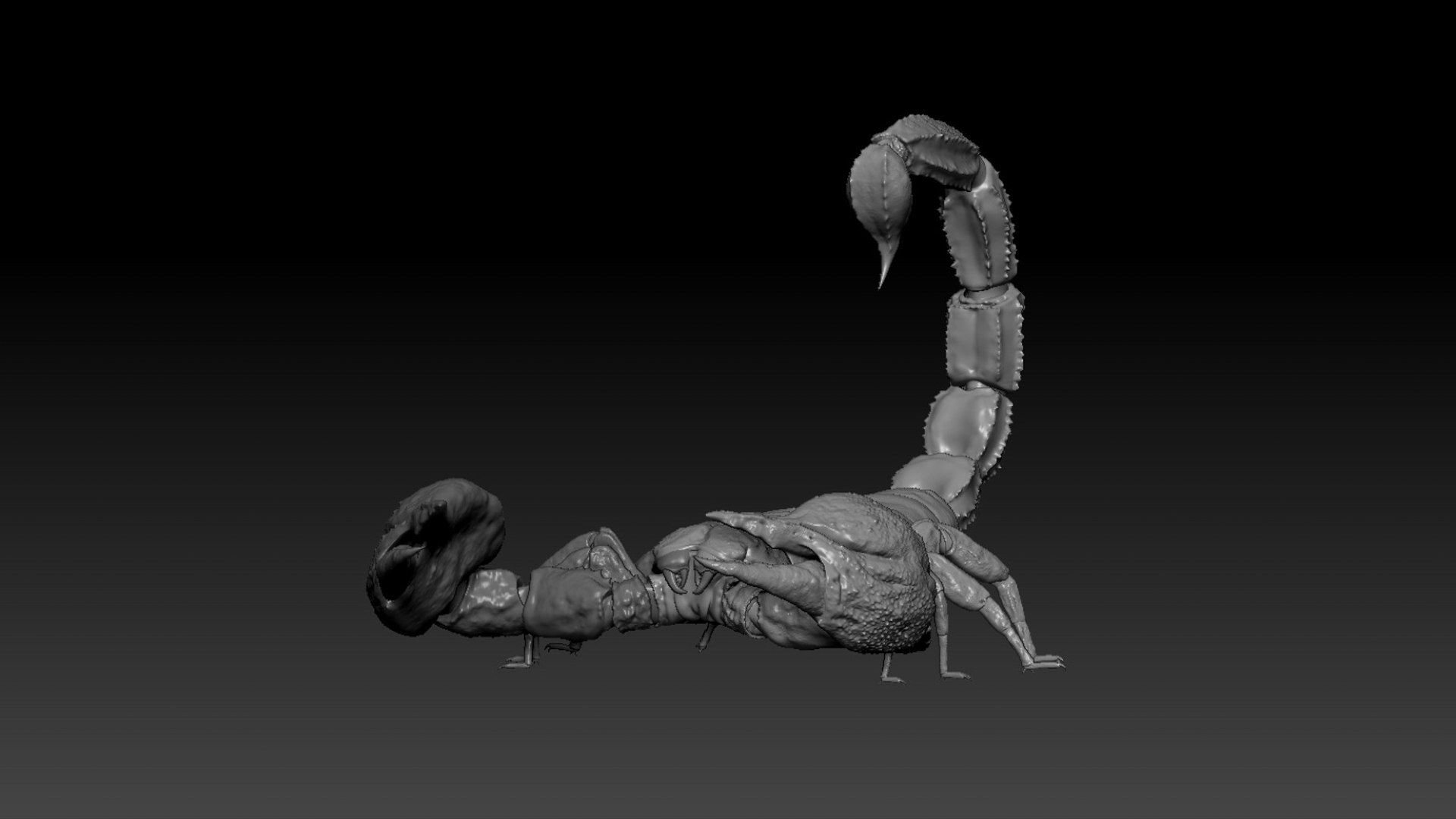Scorpion Rigged 3D model https://p.turbosquid.com/ts-thumb/9e/K5R6Px/zN/22/jpg/1751000210/1920x1080/fit_q87/d8331acb0bc386f39b1a8ba7ef0ff373f7a637ab/22.jpg
