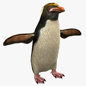 macaroni penguin eudyptes chrysolophus 3d model