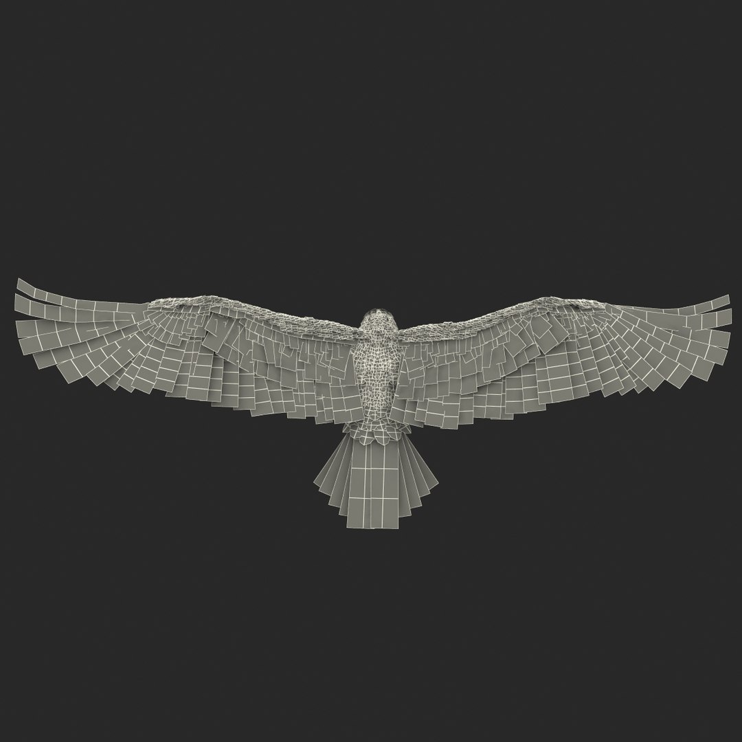 bald eagle pose 2 3d max https://p.turbosquid.com/ts-thumb/9e/dU9jtf/0qN541aM/baldleagle3dsmodel28/jpg/1446809466/1920x1080/fit_q87/f87ea1fe5a641740784f7ada26490d53fdeeea41/baldleagle3dsmodel28.jpg