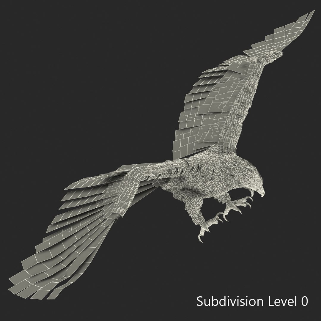 bald eagle pose 2 3d max https://p.turbosquid.com/ts-thumb/9e/dU9jtf/11A1MxgD/baldleagle3dsmodel18/jpg/1446809465/1920x1080/fit_q87/42de046da50d9c39d75ee6f3cae1cf597d1de0ca/baldleagle3dsmodel18.jpg
