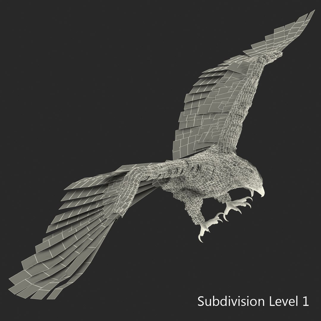 bald eagle pose 2 3d max https://p.turbosquid.com/ts-thumb/9e/dU9jtf/2Fg98bs1/baldleagle3dsmodel19/jpg/1446809465/1920x1080/fit_q87/5d96299ac5f695d7a79fd6d91986b9b3f378e58b/baldleagle3dsmodel19.jpg
