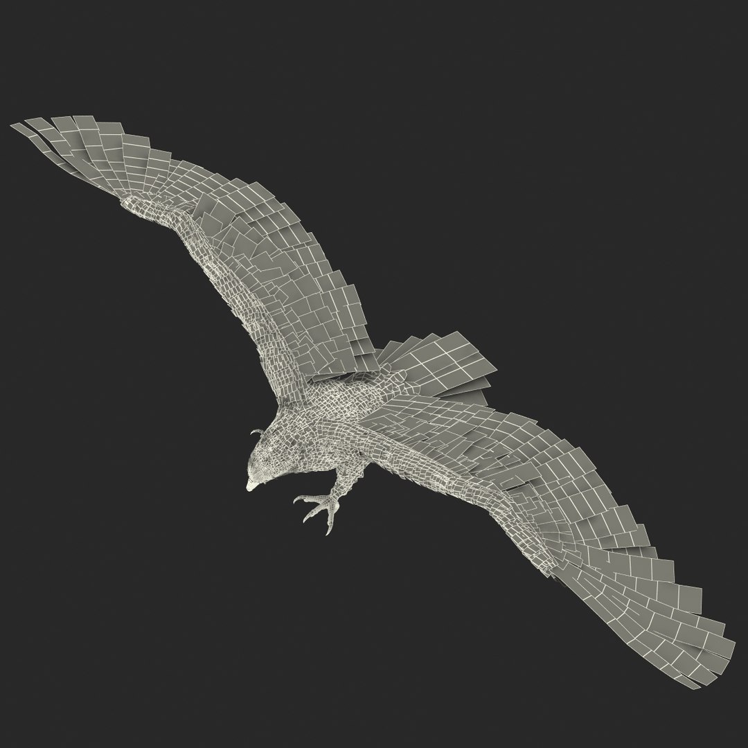 bald eagle pose 2 3d max https://p.turbosquid.com/ts-thumb/9e/dU9jtf/2TgqneVE/baldleagle3dsmodel25/jpg/1446809466/1920x1080/fit_q87/5c7a80112e00c8768bfcdf97d0e4c4b5aa3e91f3/baldleagle3dsmodel25.jpg