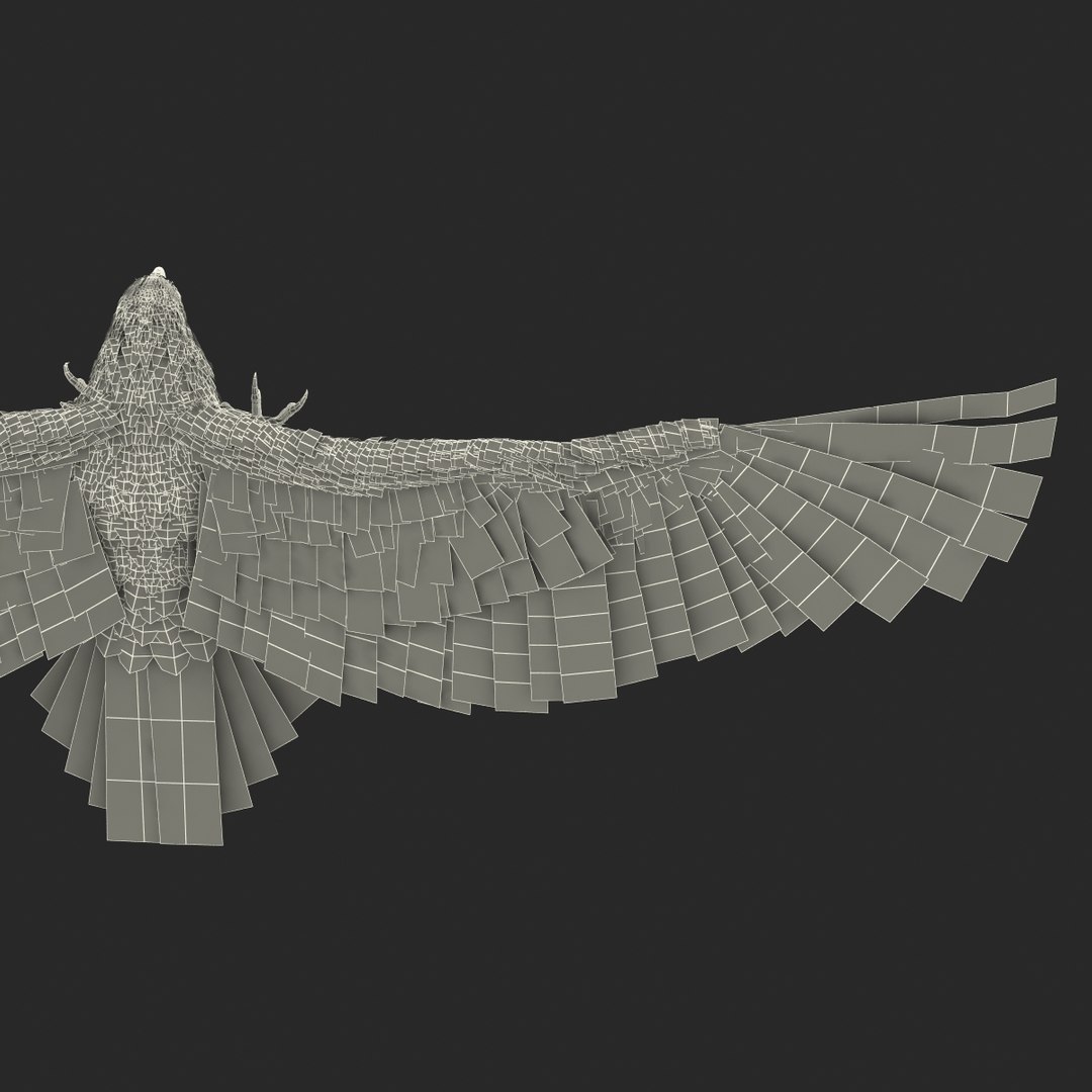 bald eagle pose 2 3d max https://p.turbosquid.com/ts-thumb/9e/dU9jtf/IC4KmUQW/baldleagle3dsmodel36/jpg/1446809467/1920x1080/fit_q87/b8f1f7f86fafc0d8bdcd4598dbb1e90133e0e55f/baldleagle3dsmodel36.jpg