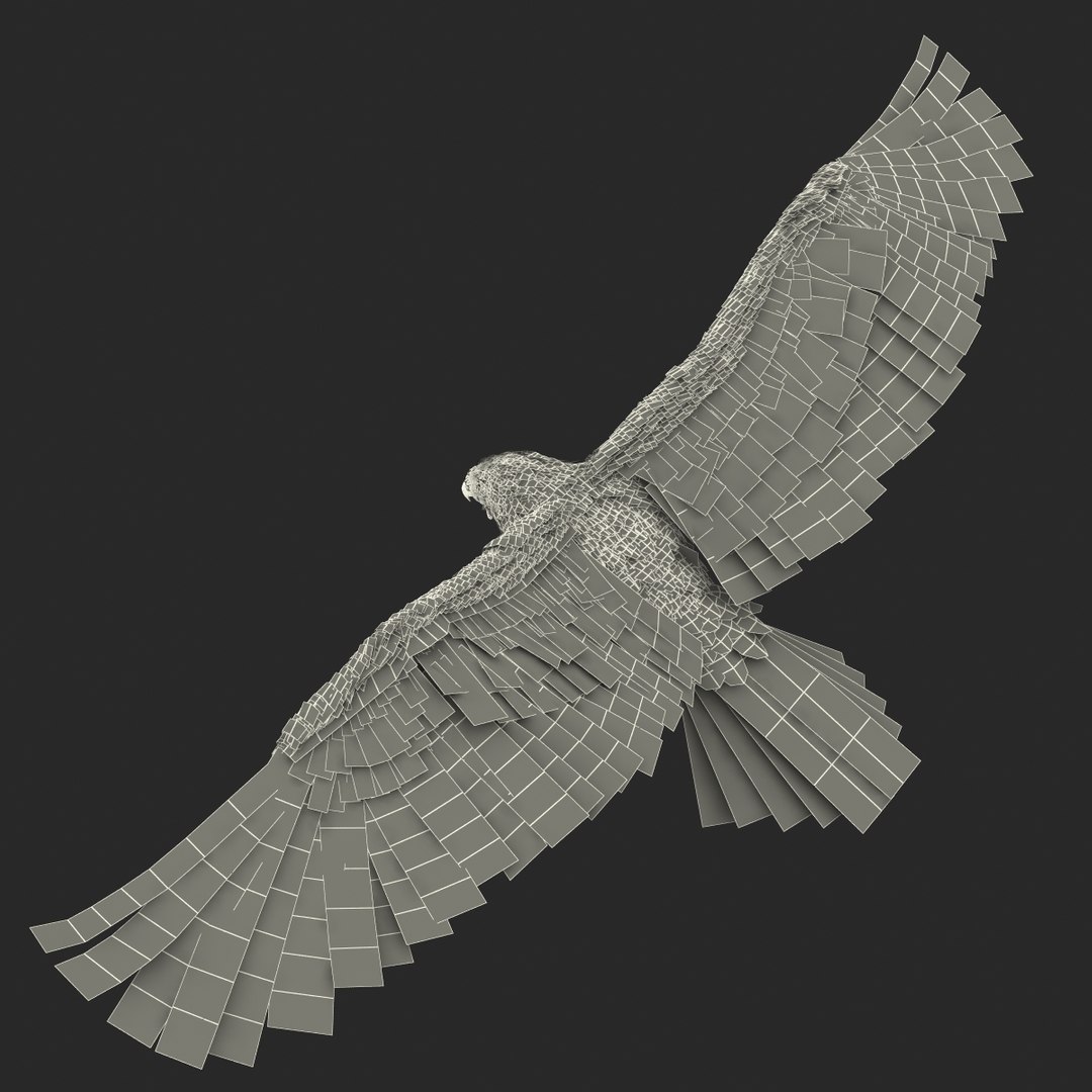 bald eagle pose 2 3d max https://p.turbosquid.com/ts-thumb/9e/dU9jtf/K5pXJYBe/baldleagle3dsmodel26/jpg/1446809466/1920x1080/fit_q87/0467e206adc66a1c67092a8b8bf9c576766b2842/baldleagle3dsmodel26.jpg