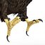 Bald Eagle Pose 2
