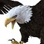 Bald Eagle Pose 2