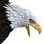 Bald Eagle Pose 2