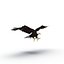 Bald Eagle Pose 2